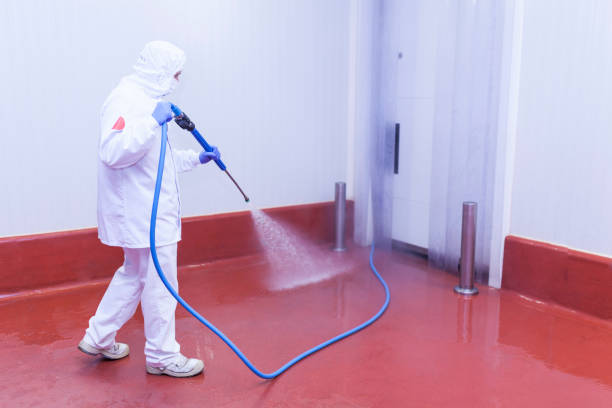Best Building Exterior Washing  in Buffalo, NY